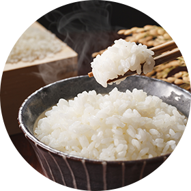 Freshly cooked rice